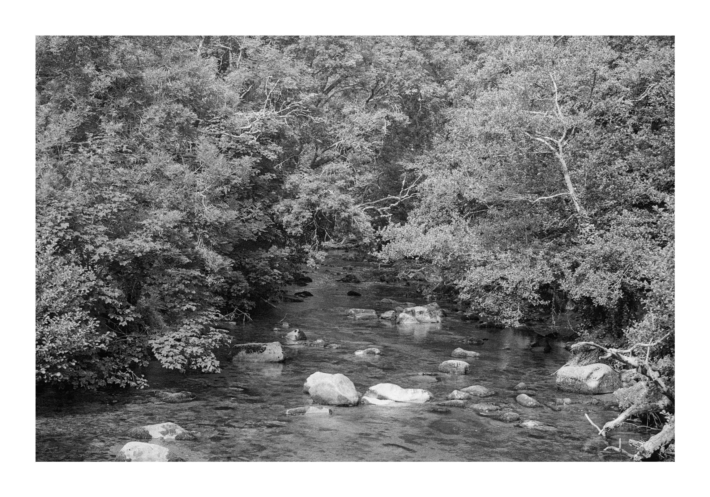 Photograph of a river, taken from a bridge. The water is calm and breaks around large rocks. Trees cover the river at the top of the picture.